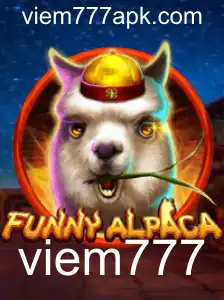 Descubra o Divertido Mundo de FunnyAlpaca