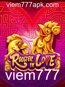 Explorando o Universo de RoosterInLove: Um Mergulho nas Regras e Dinâmicas